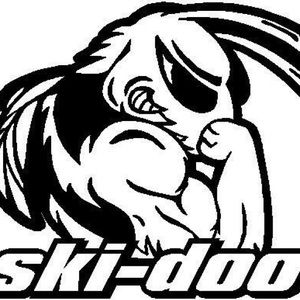 Skidoo sticker